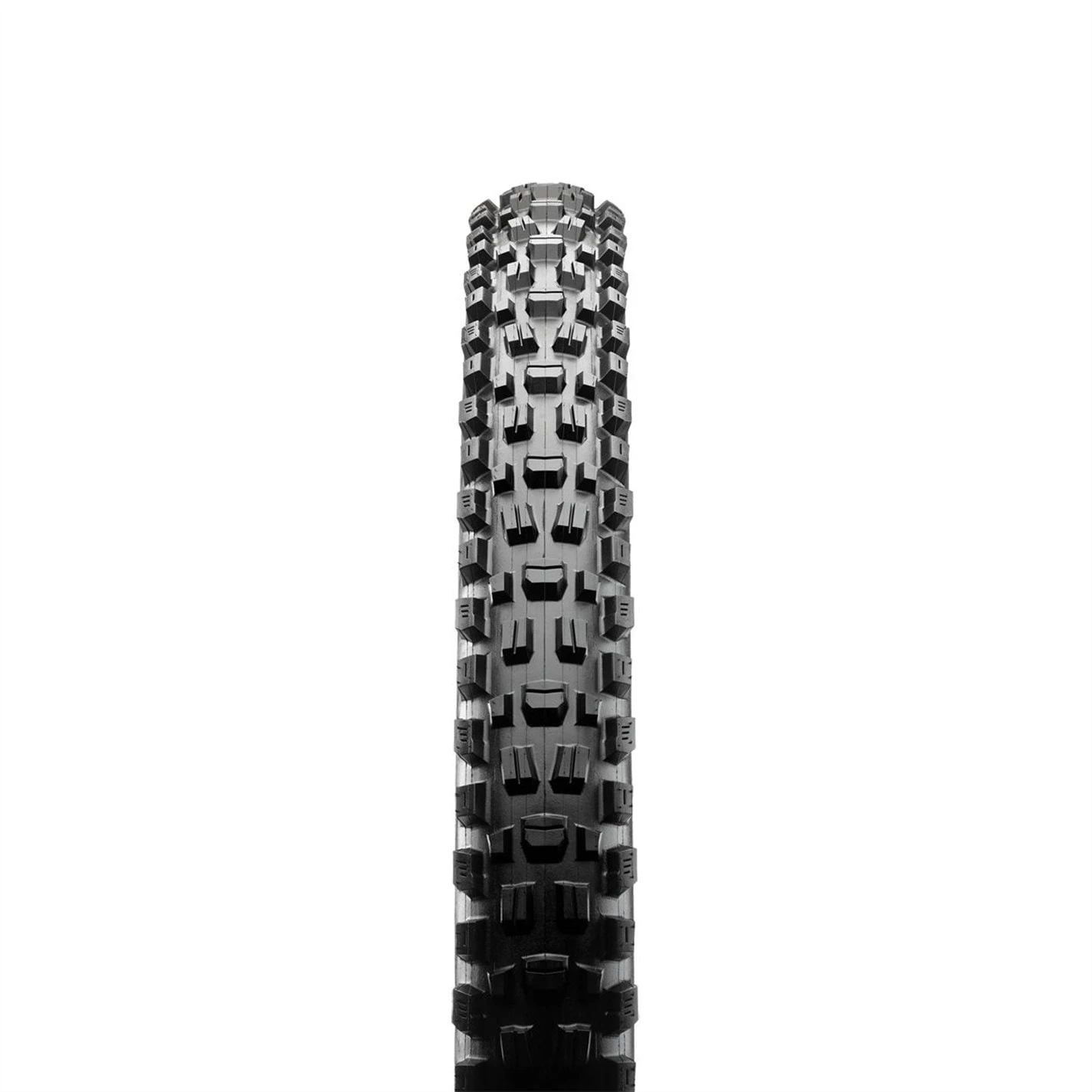 MAXXIS Assegai Folding WT 3C DD TR - Image 2