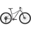 Cannondale Trail 5 Women's Mountain Bike