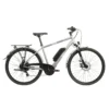 Raleigh Array Exclusive Electric Hybrid Bike