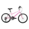 Synergy 20 Inch Girl's Bike