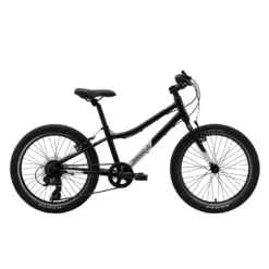 Ash 20 Inch Kids Bike